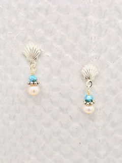 Scallop Shell – Turquoise