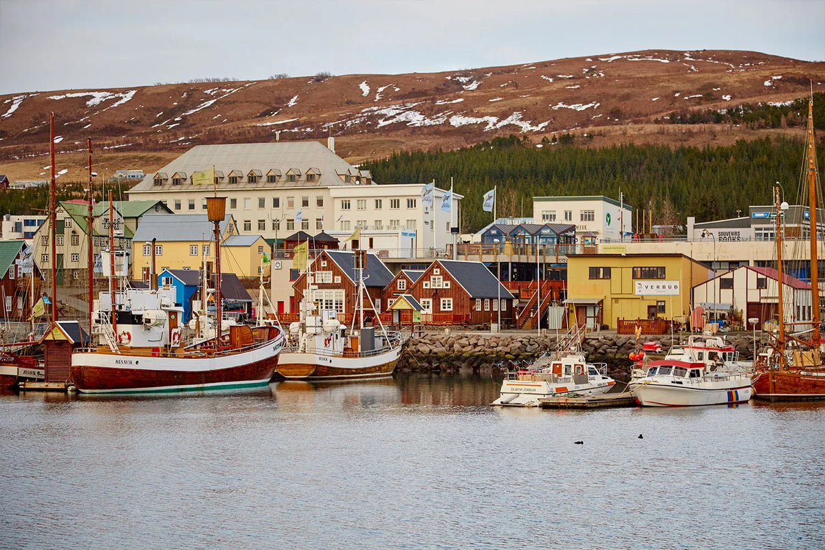 Harbor landscape with colorful waterfront houses in Iceland
