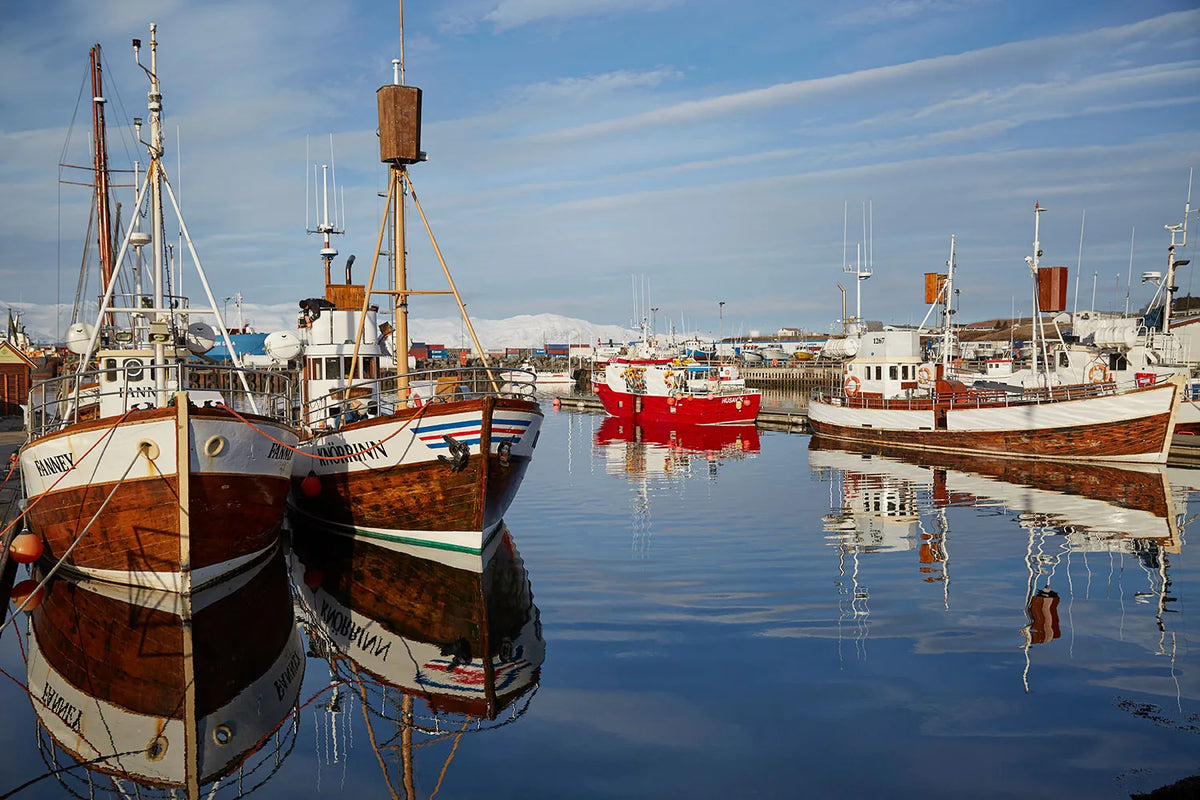 Harbor at the Iceland tannery sourcing trip